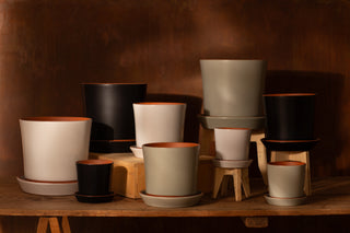 Push Planters