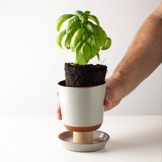 Push Planters