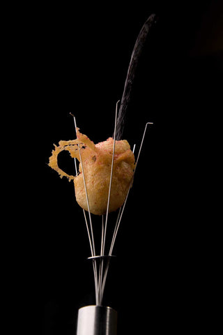 Squid